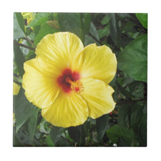 Yellow Hibiscus Plant Art Items Tile
