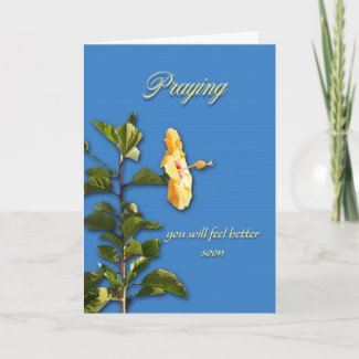 Yellow Hibiscus Prayer