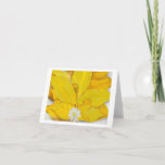 Yellow Hickory Leaves with Daisy by O&#39;Keeffe,  Card