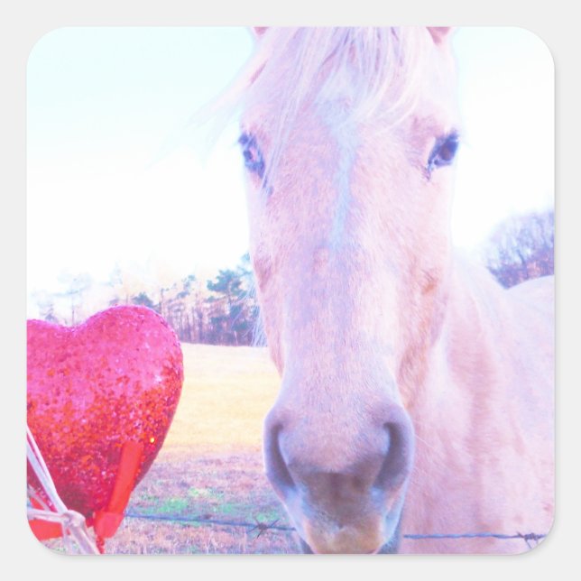 Yellow Horse and Red  Heart Square Sticker (Front)