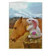 Yellow Horse, Spring Rabbit (Front)