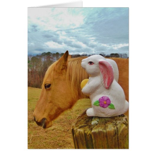 Yellow Horse, Spring Rabbit Cards (Front)