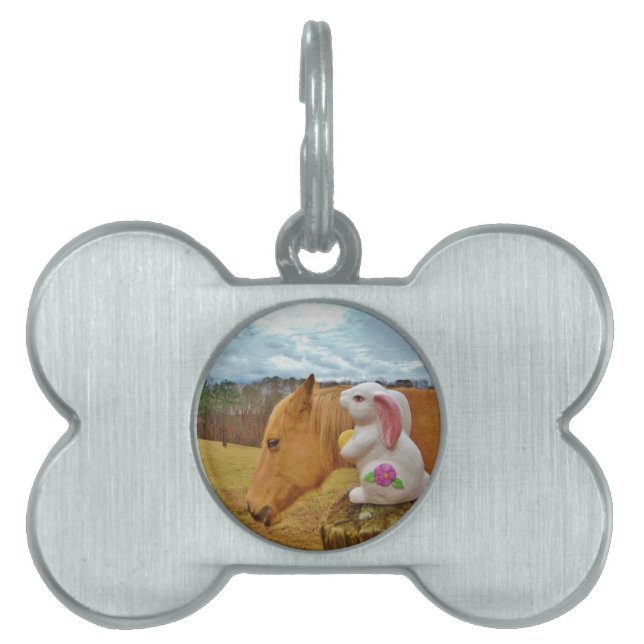 Yellow Horse, Spring Rabbit Pet Name Tag (Front)