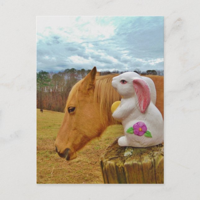 Yellow Horse, Spring Rabbit Postcard (Front)
