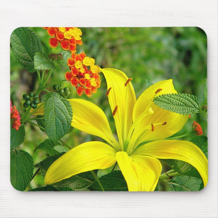 Yellow Hybrid Lilly Mousepad