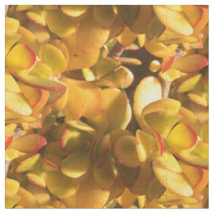 Yellow Ice Plants Fabric