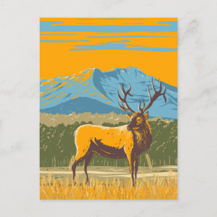Yellow Illustration Deer  Postcard
