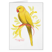 Yellow Indian Ringneck Parrot (Front)