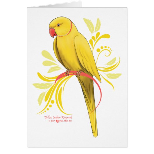 Yellow Indian Ringneck Parrot Cards (Front)