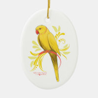 Yellow Indian Ringneck Parrot