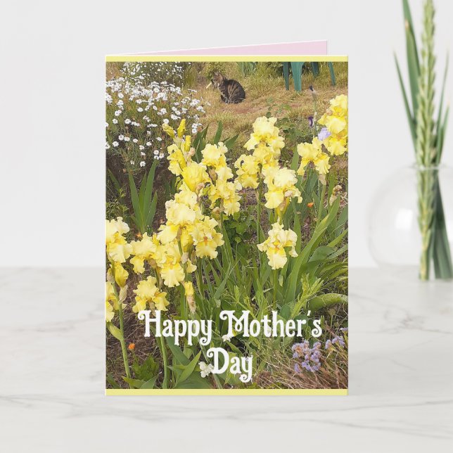 Yellow Iris and Tabby Cat Flowers Mothers Day Card (Front)