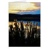 Yellow Iris at Lake Arrowhead shore (Front)