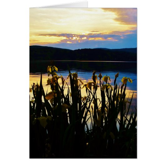 Yellow Iris at Lake Arrowhead shore Cards (Front)