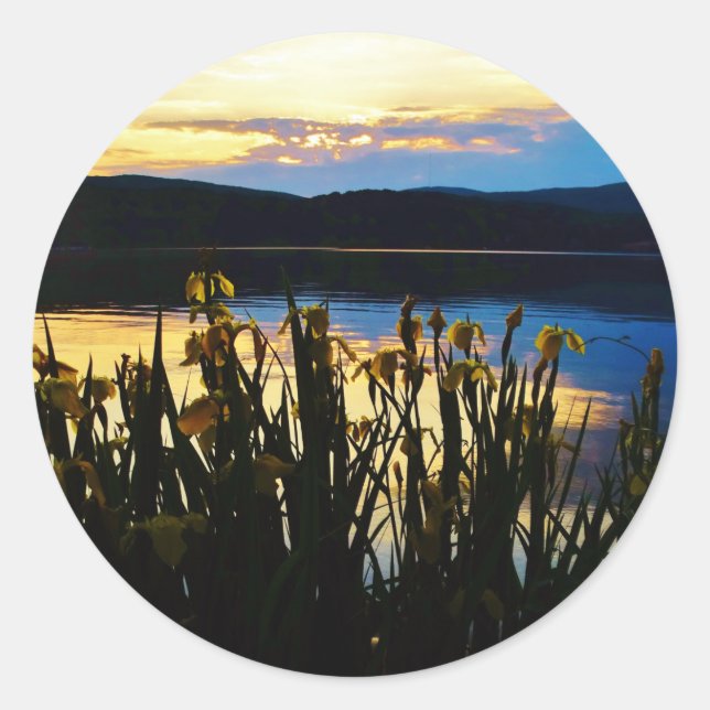 Yellow Iris at Lake Arrowhead shore Classic Round Sticker (Front)