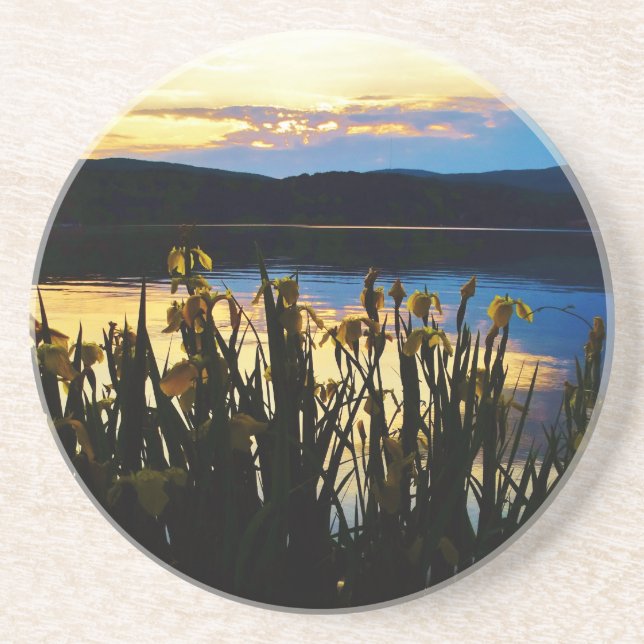 Yellow Iris at Lake Arrowhead shore Sandstone Coaster (Front)