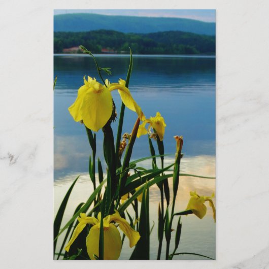 Yellow Iris at Lake Shore (Front)