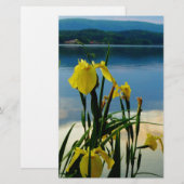 Yellow Iris at Lake Shore (Front/Back)