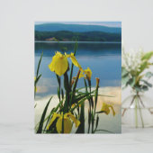 Yellow Iris at Lake Shore (Standing Front)