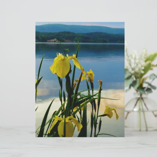 Yellow Iris at Lake Shore (Standing Front)
