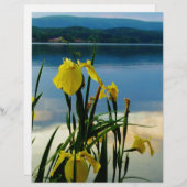 Yellow Iris at Lake Shore (Front/Back)