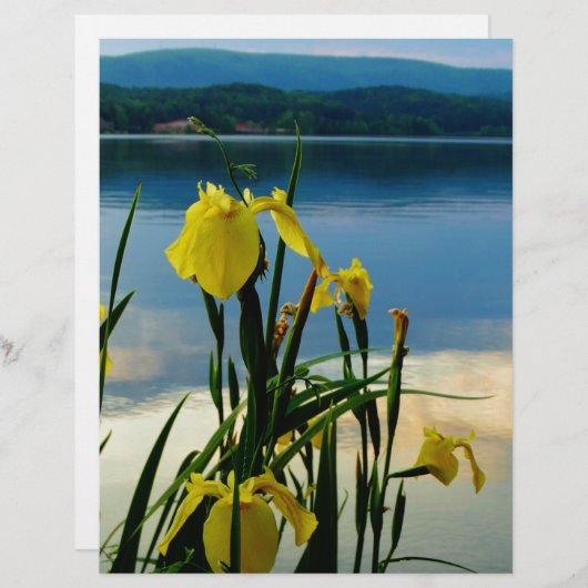 Yellow Iris at Lake Shore (Front/Back)