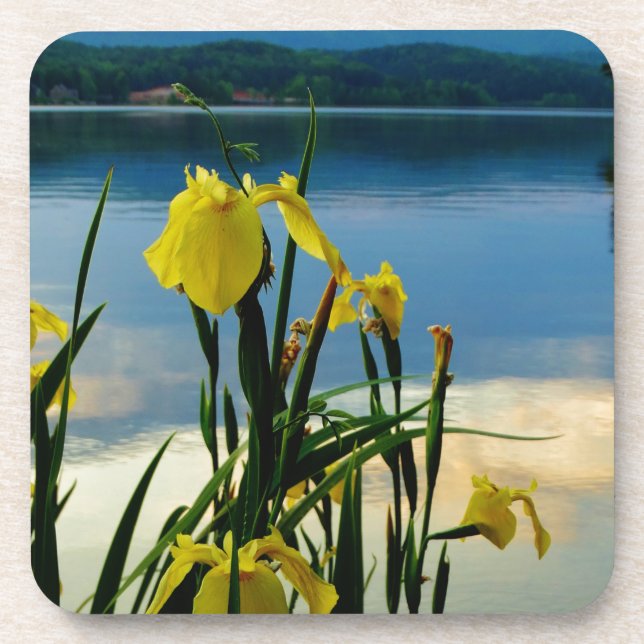 Yellow Iris at Lake Shore Beverage Coaster (Front)
