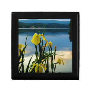 Yellow Iris at Lake Shore Keepsake Box