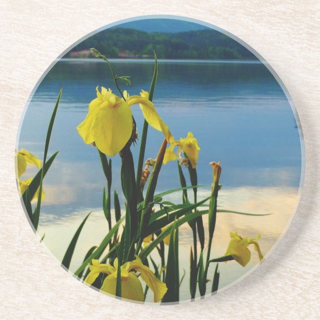 Yellow Iris at Lake Shore Sandstone Coaster (Front)