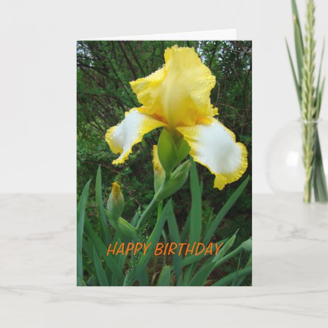 Yellow Iris, Birthday Card (Front)