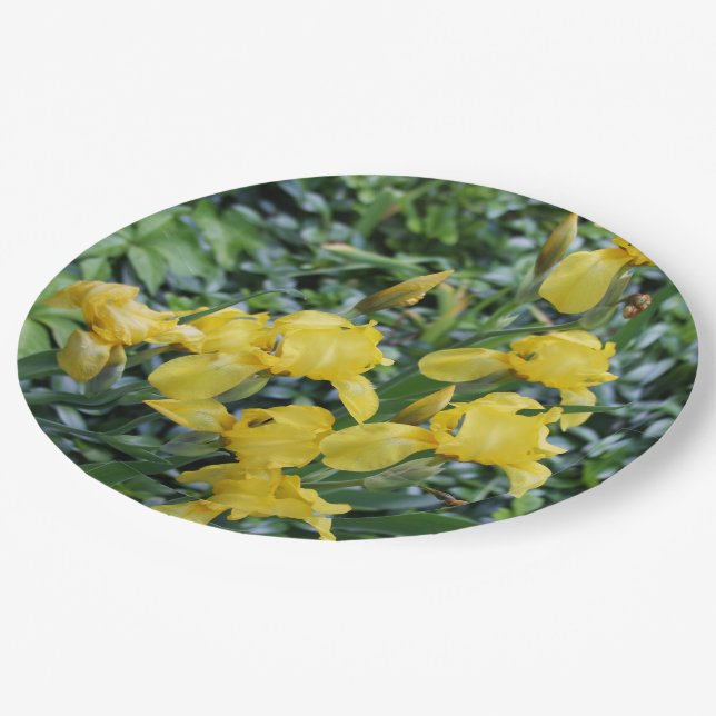 Yellow Iris Floral Garden Paper Plates (Angled)