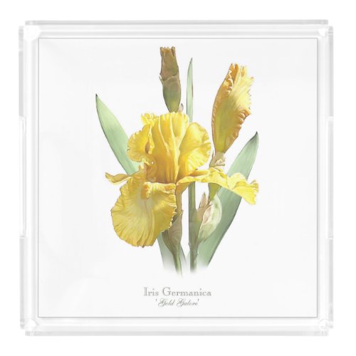 Yellow Iris Flower Acrylic Tray