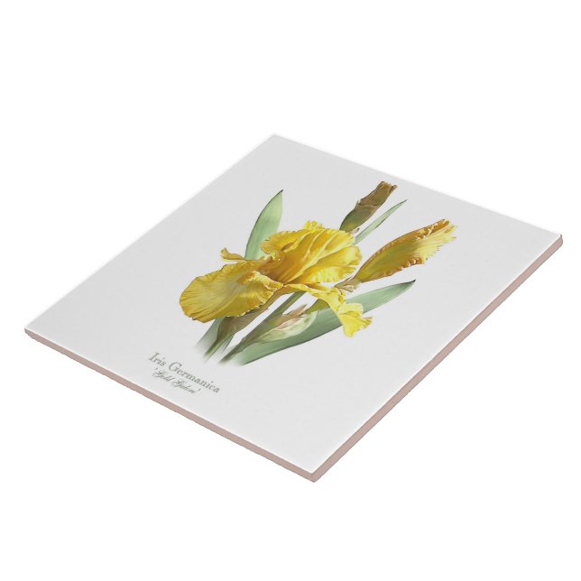 Yellow Iris Flower Botanical Style Art Ceramic Tile (Side)