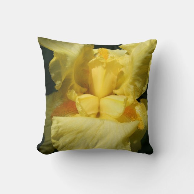Yellow Iris Flower Close Up Throw Pillow (Front)
