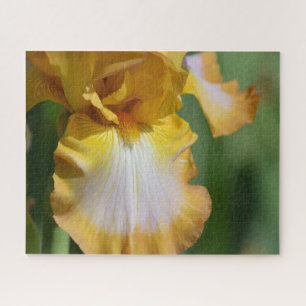 Yellow Iris Flower Jigsaw Puzzle