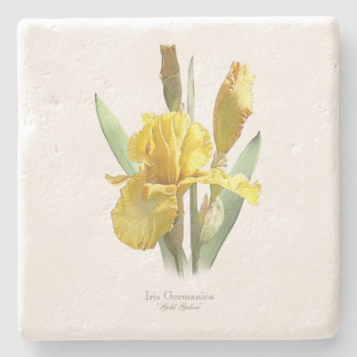 Yellow Iris Flower Stone Coaster