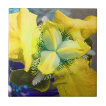 Yellow Iris Flower Tile