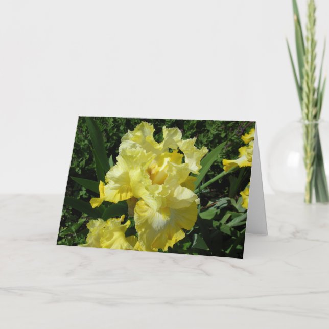 Yellow Iris Greeting Card (Front)