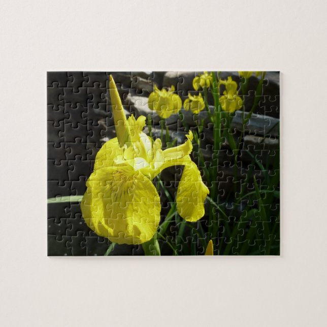 Yellow Irises Bright Spring Floral Jigsaw Puzzle (Horizontal)