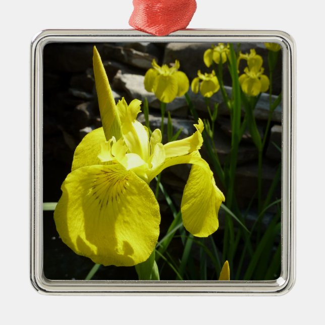 Yellow Irises Bright Spring Floral Metal Ornament (Front)
