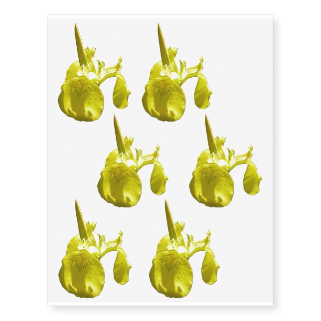 Yellow Irises Bright Spring Floral Temporary Tattoos (Front)