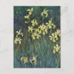 Yellow Irises by Claude Monet, Vintage Fine Art Postcard<br><div class="desc">Yellow Irises (1914-1917) by Claude Monet is a vintage impressionist fine art nature painting featuring blooming yellow iris flowers growing in a garden. About the artist: Claude Monet (1840-1926) was a founder of the French impressionist painting movement with most of his paintings being "en plein air" (in the open air)...</div>