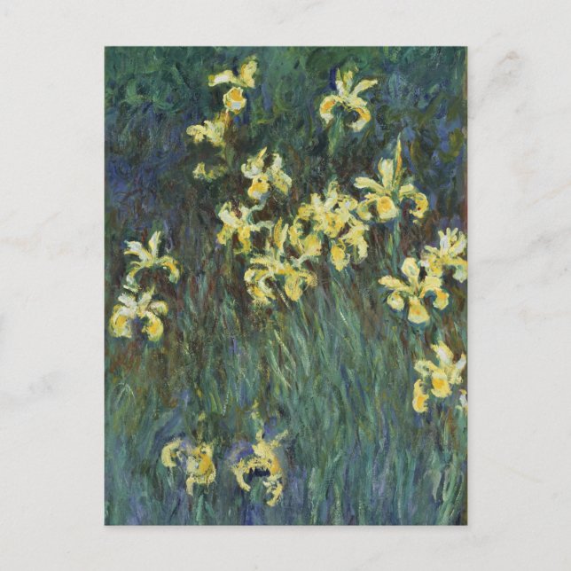 Yellow Irises by Claude Monet, Vintage Fine Art Postcard (Front)