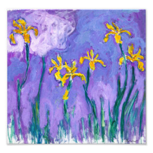 Yellow Irises with Pink Cloud Claude Monet Photo Print