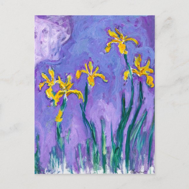 Yellow Irises with Pink Cloud | Claude Monet | Postcard (Front)