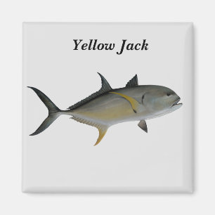 Yellow Jack  Fish Magnet