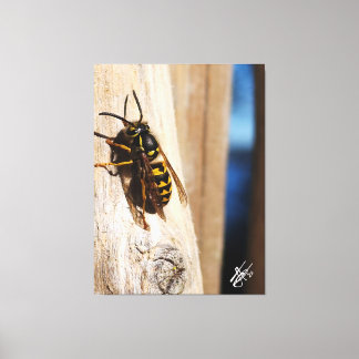 Yellow Jacket in Freeland Canvas Print