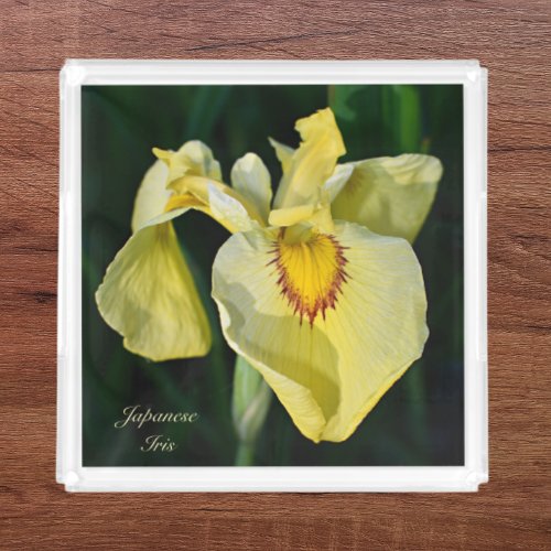 Yellow Japanese Iris Floral Acrylic Tray