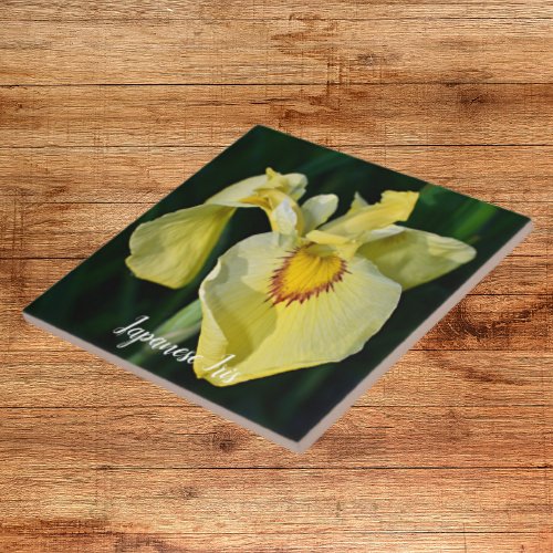 Yellow Japanese Iris Floral Ceramic Tile