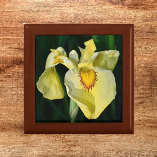 Yellow Japanese Iris Floral Gift Box