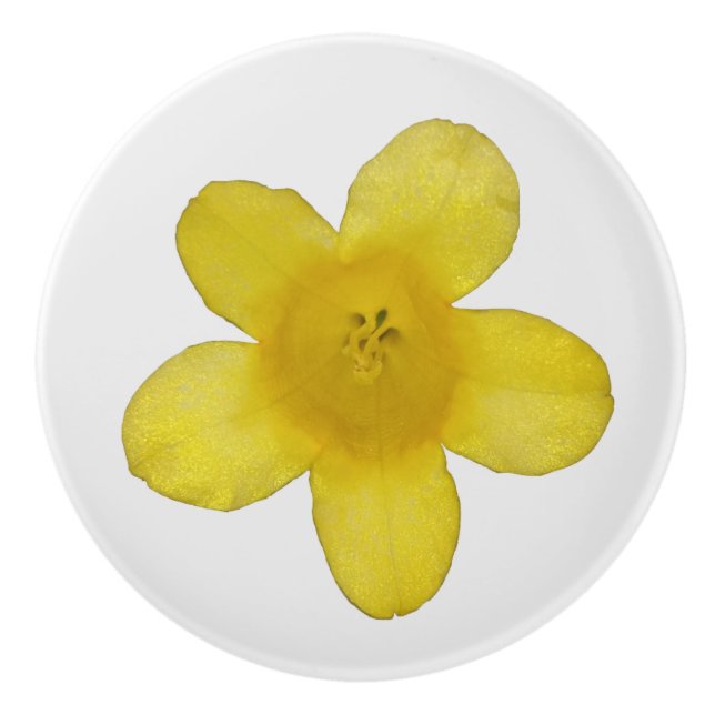 Yellow Jasmine Ceramic Knob (Front)